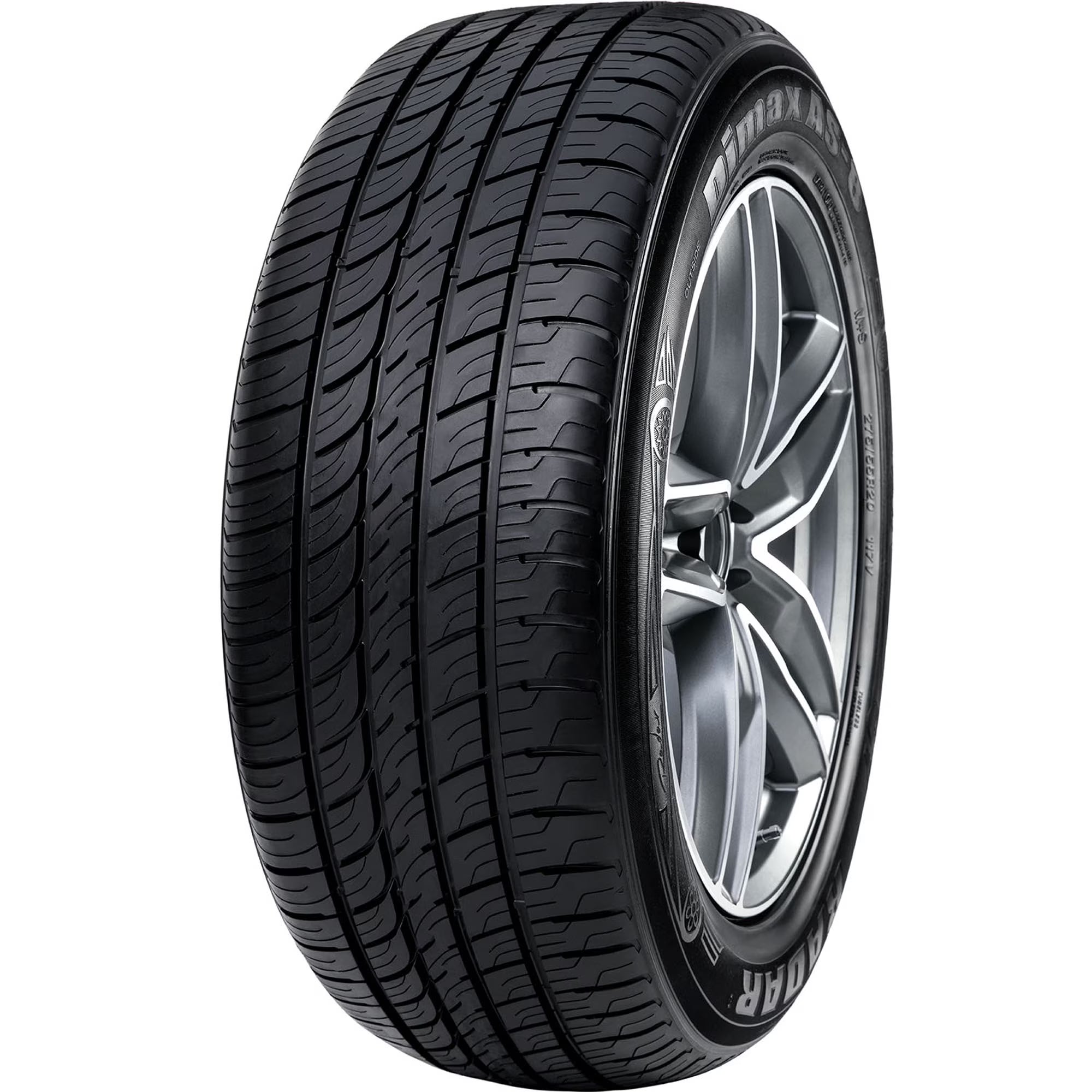 Radar Dimax AS-8 All Season 205/65R16 95V Passenger Tire
