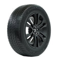 Cooper Endeavor Plus All Season 265/65R17 112T Passenger Tire