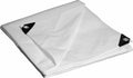 DRY TOP 33040 30¡ä X 40¡ä White Heavy-Duty UV Treated Poly Tarp