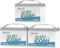 Redodo 3 Pack 12V 100Ah LiFePO4 Battery 100A BMS 1280Wh Group 31 Lithium Battery for RV Solar Energy Storage