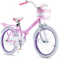 RoyalBaby Bunny 20 inch Girl-s Bicycle Kids Bike for Girls Childrens Bicycle Pink