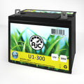 Neuton CE6 U1 Lawn Mower and Tractor Battery - This Is an AJC Brand Replacement
