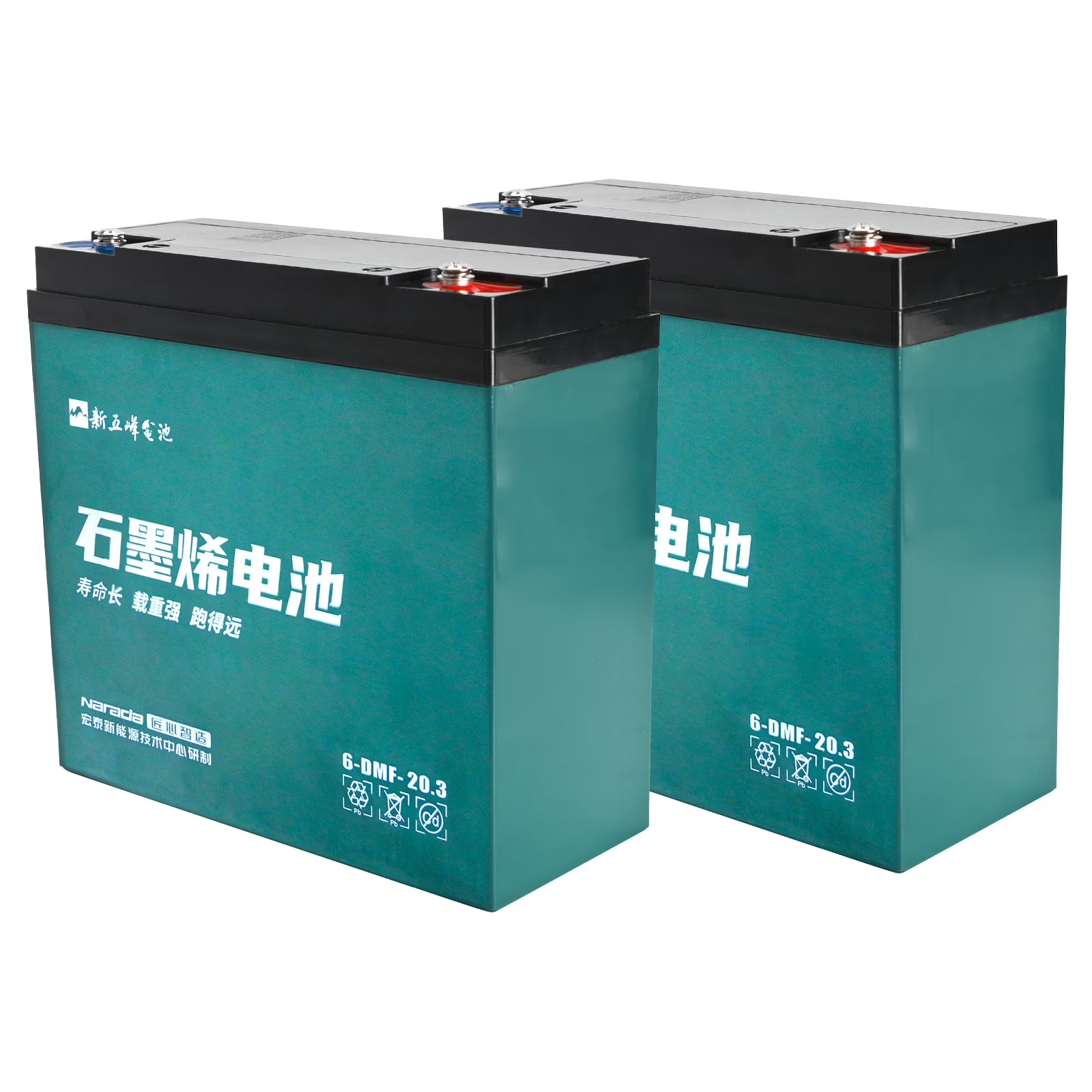 2 Pack 12V 20Ah Battery 6-DMF-20 Sealed Lead Acid Battery 6-DZM-20 for 24V 20Ah Mobility Scooter Electric Go Kart E Bike Motorcycle Golf Carts Electric Wheelchair ATV UTV Generator