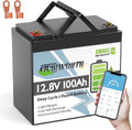 12V 100AH Mini LiFePO4 Battery Bluetooth,Lithium Batteries for RV,Solar,Marine,Camping,Trolling Motors,off-Gird,15000+Deep Cycles,TCBWORTH Group 22NF Battery,Smart 100A BMS