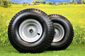 Tire & Wheel (Set of 2) 15x6.00-6 Tire and Wheel Assemblies, ATW-003