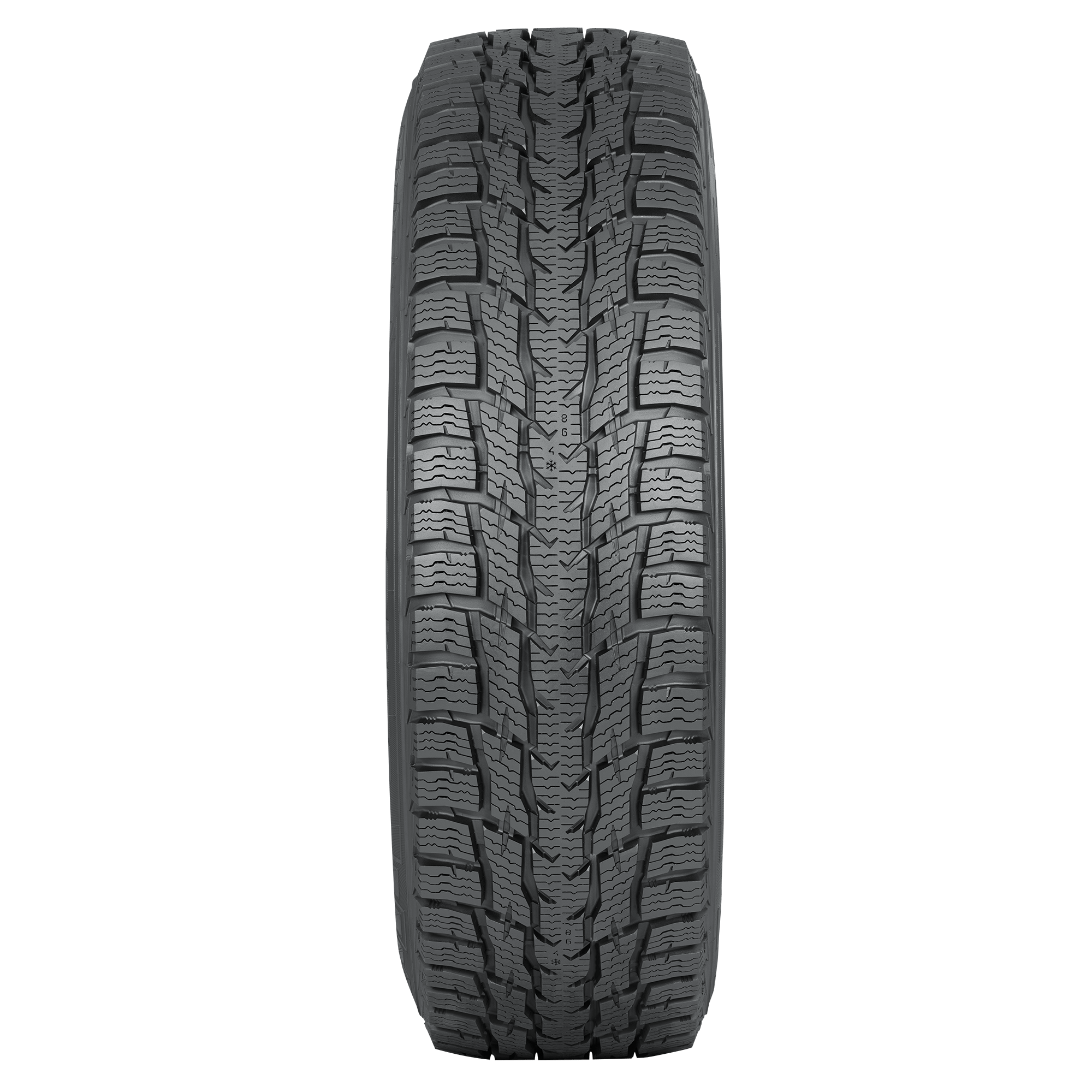 Nokian WR C3 All Weather 205/65R15C 102/100T C Light Truck Tire