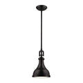 Elk Home 9-Inch Wide Rutherford Pendant. Transitional. Oiled Bronze