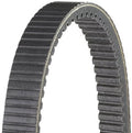 Dayco HPX5017 - Auto Continuously Variable Trans Belt