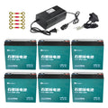 Set of Six 12V 20Ah 6-DMF-20 Sealed Lead Acid Battery with 72V Battery Ch for Motorcycle Electric Go Kart Electric Bike Bicycle Tricycle 4 Wheelers ATV Quad Trikes Mobility Scooter
