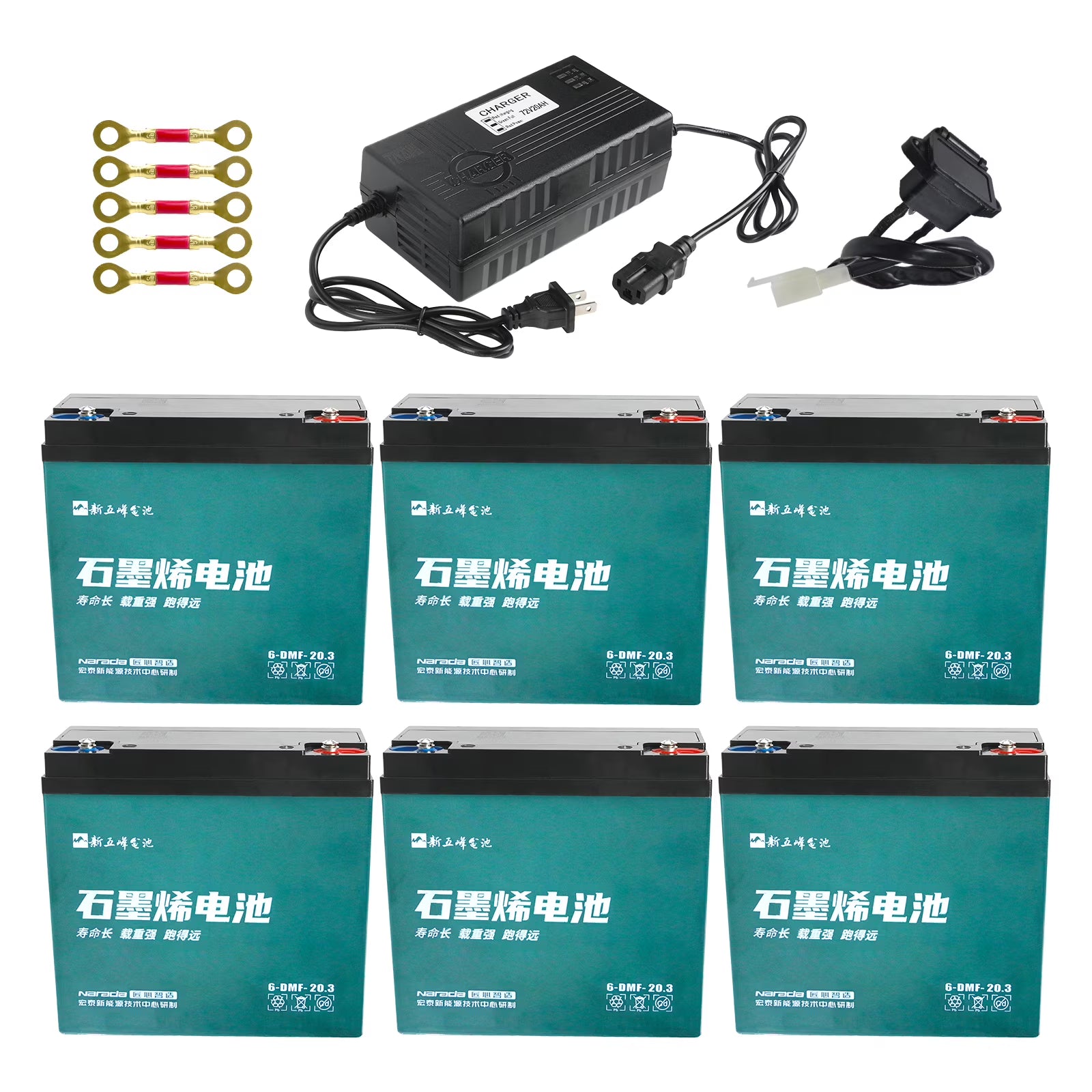 Set of Six 12V 20Ah 6-DMF-20 Sealed Lead Acid Battery with 72V Battery Ch for Motorcycle Electric Go Kart Electric Bike Bicycle Tricycle 4 Wheelers ATV Quad Trikes Mobility Scooter