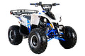Coolster 125cc Fully Automatic Mid Sized Sport ATV 3125F2