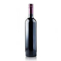 Sundance Chardonnay Maule Valley - 750ML