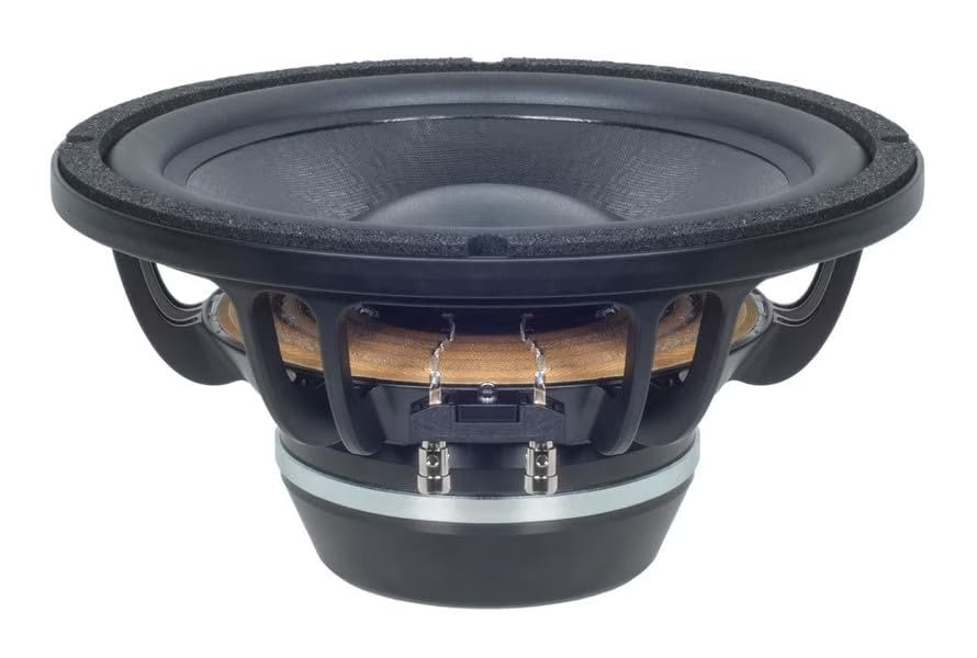 B&C Speakers 10BG76-4 LF Drivers 10-Inch NEO Rolled Edge Woofer 4- Ohms Pro Audio Component Speaker Driver for Motorcycle Car