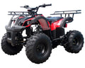 Tao Tao T Force 125 cc ATV Reverse and Big 19 18 Tires Utility Model Carb